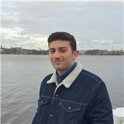 School and University-level Mathematics Tutor (School math, Linear Algebra, Calculus, Statistics,...)